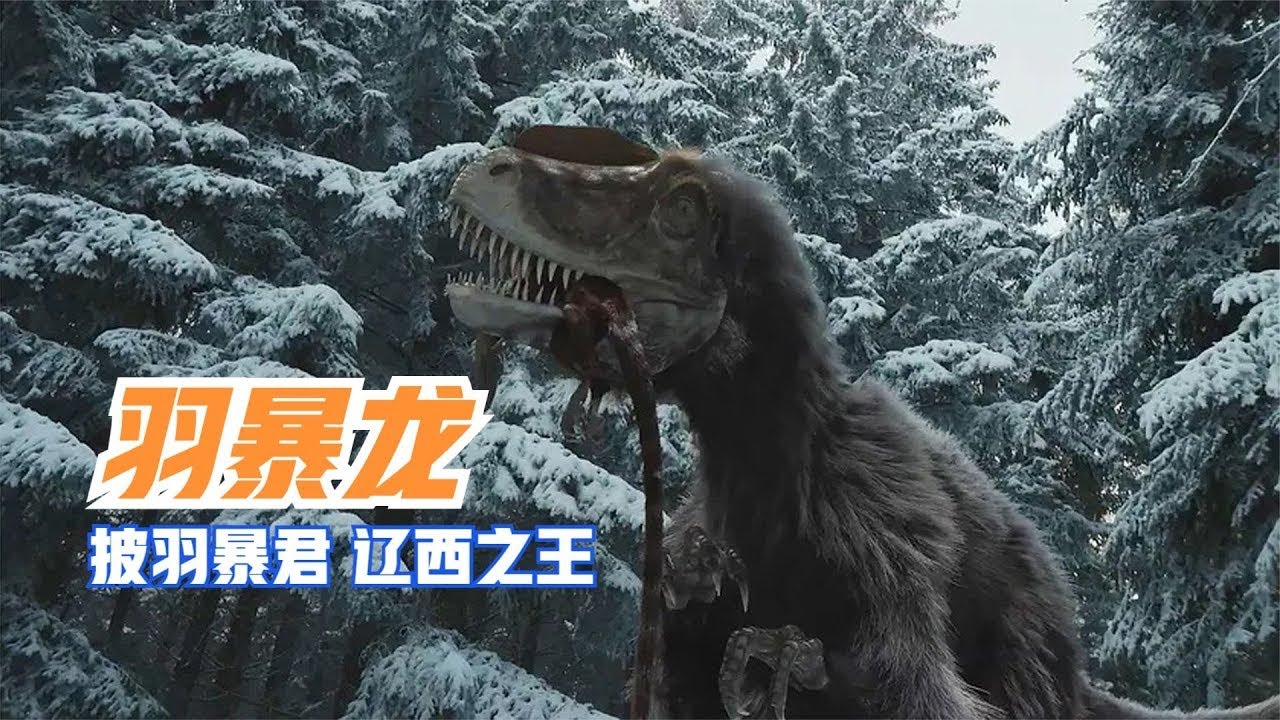 羽暴龙白垩纪的披羽暴君，当之无愧的辽西之王|Yutyrannus【马丁新视界】
