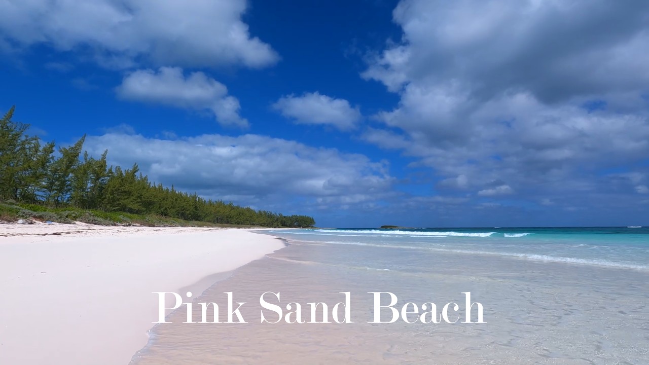 Pink Sand Beach Walk | Relaxing Stroll in the Bahamas | Beautiful French Leave Beach