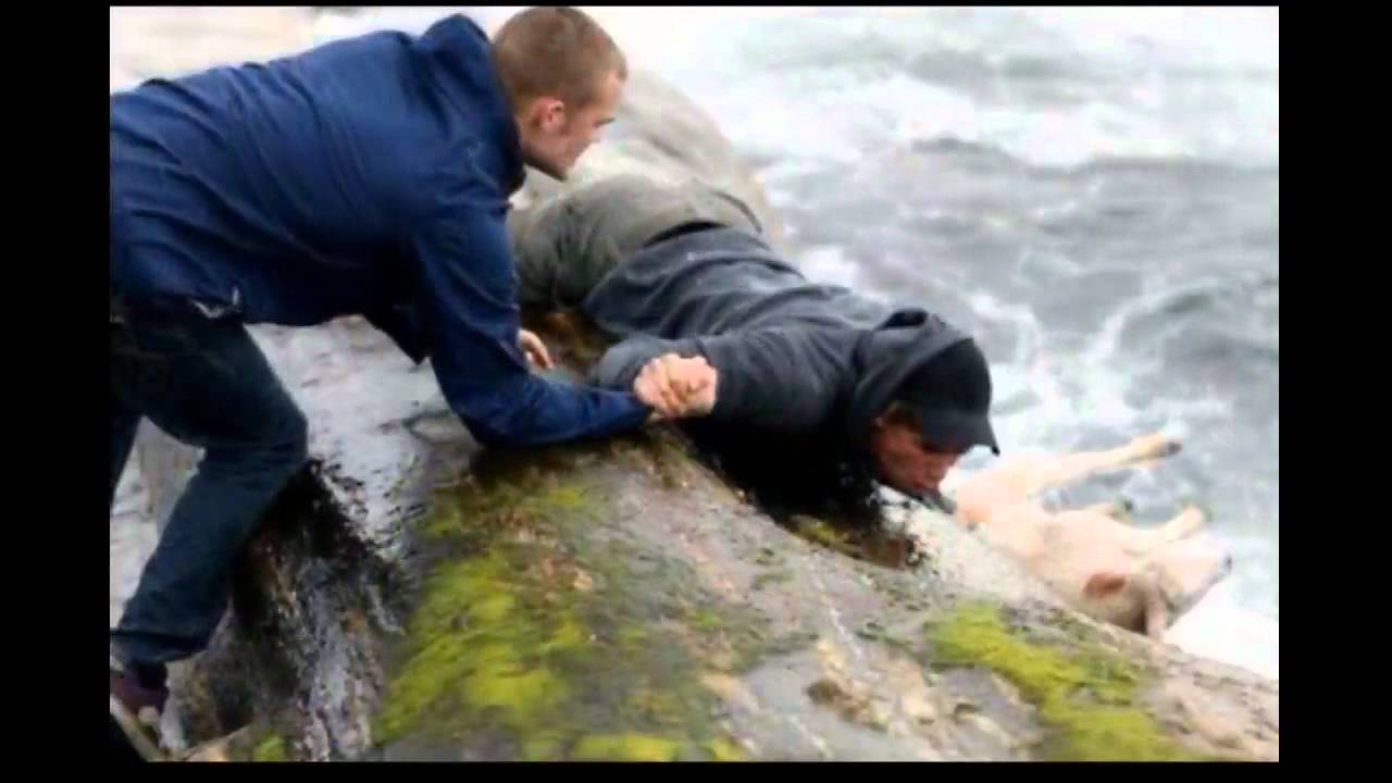 Pictures That Might Restore Your Faith In Humanity