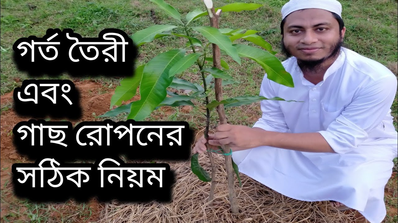 গর্ত তৈরী এবং গাছ রোপনের সঠিক নিয়ম  / The Right methods for making holes and planting trees.