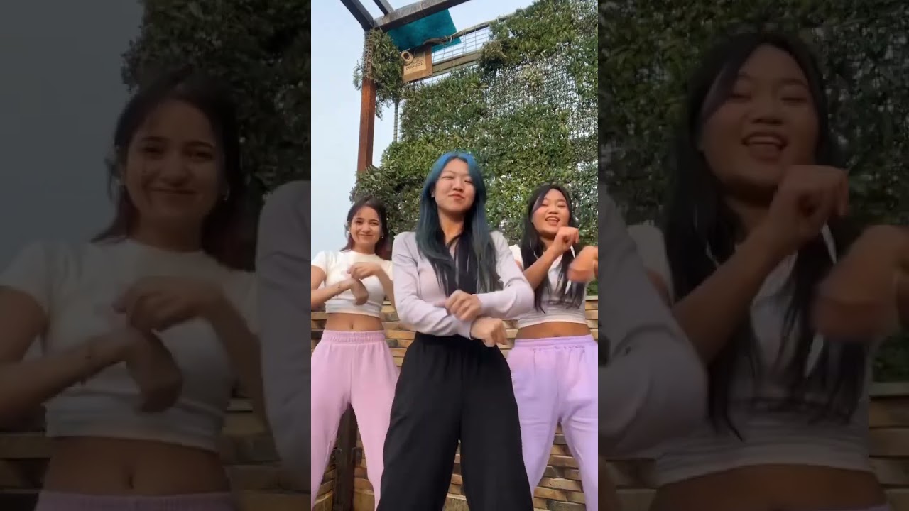 Gyal you a party animal Trending/ Viral TikTok/Reel dance by MIXDUP 🇮🇳