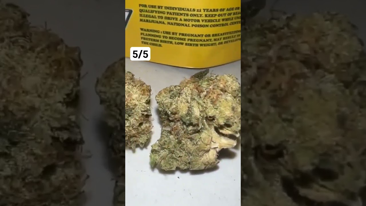 The Smokers Club Jobster (Review) #420 #smokeweedeveryday  #review