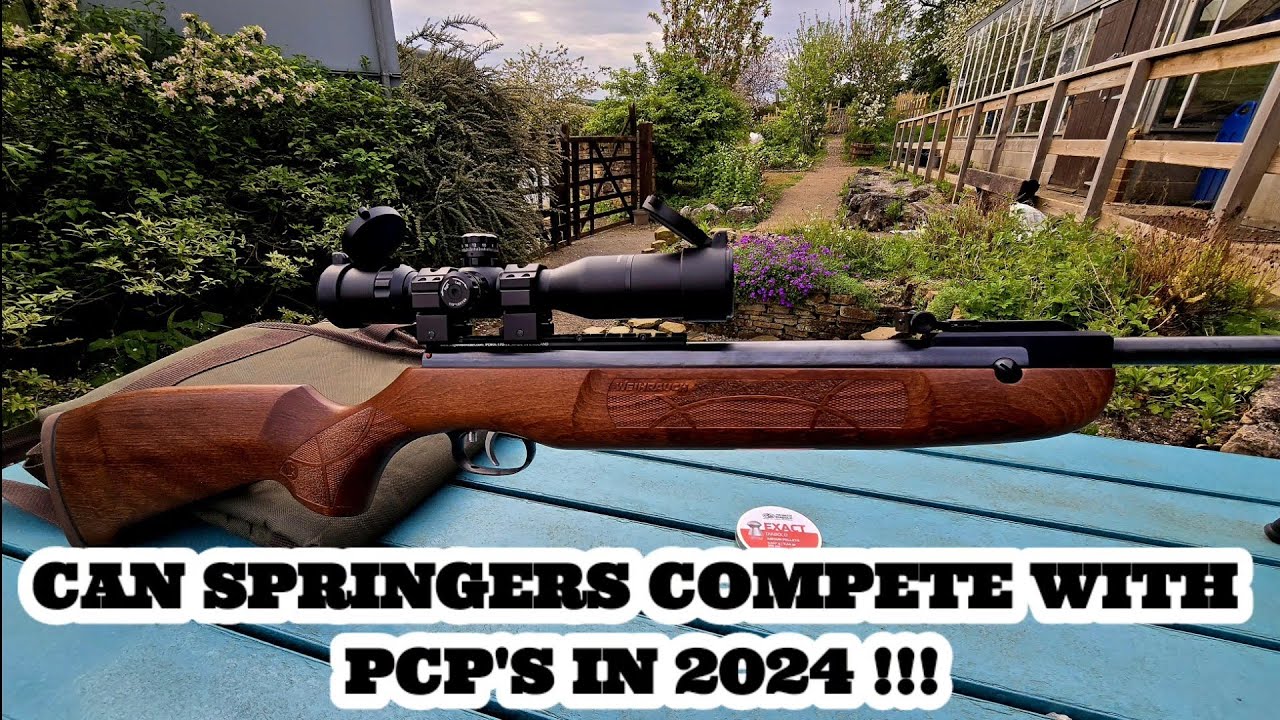 CAN SPRINGERS COMPETE WITH A PCP'S IN 2024 !!!