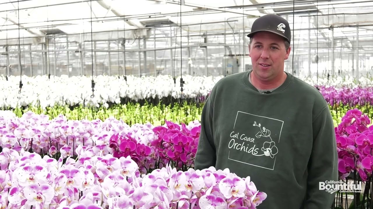 Cal Coast Orchids