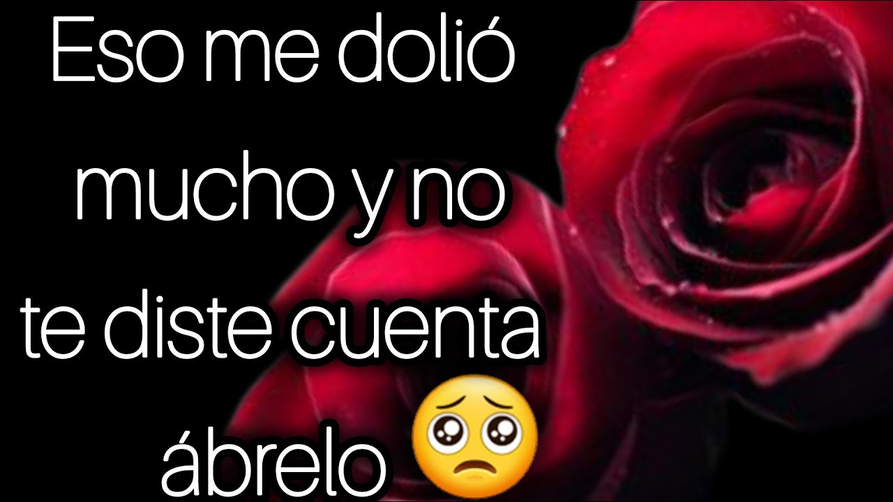 No lo puedo creer de vez ver eso