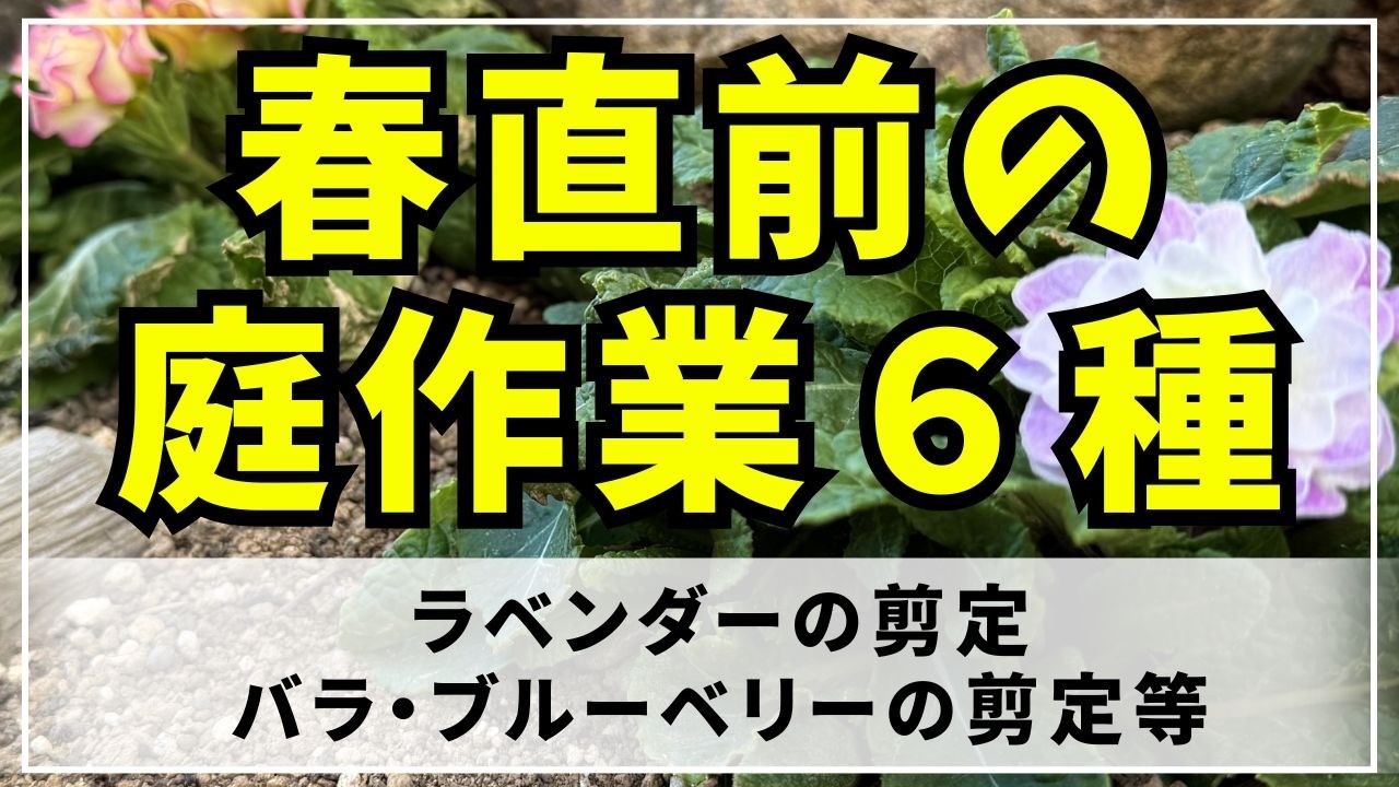 ワクワクが止まらない！近づく春を迎える前に済ませておいた庭作業をまとめました。