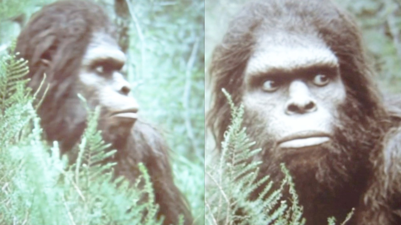 What Bigfoot Really Is... Jeffrey Meldrum Reveals the Evidence