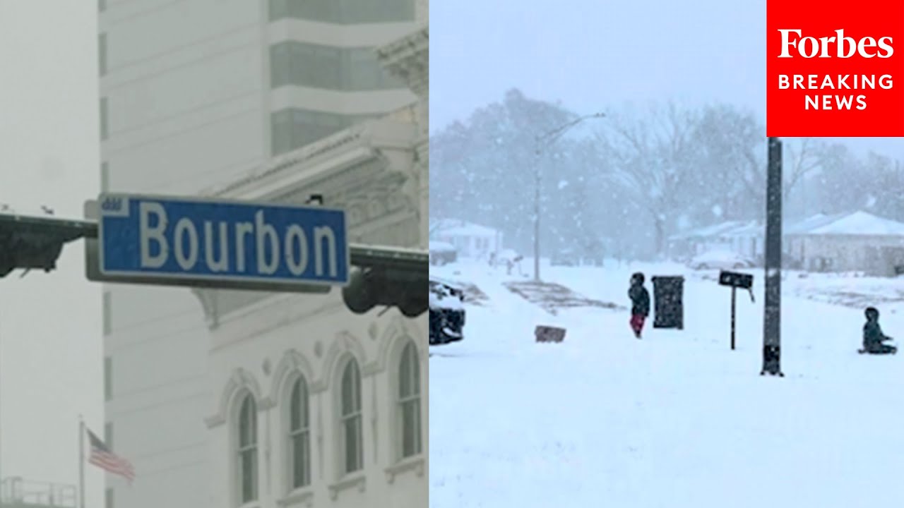New Orleans, Hit By A Rare Southern Winter Storm, Gets Blanketed By Heavy Snowfall