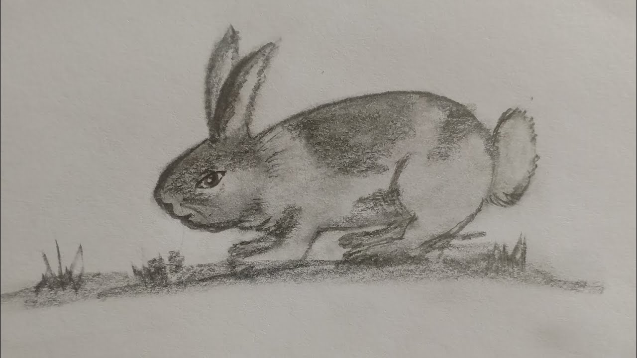 खरगोश कैसे बनाएं ⚠️/how to draw a rabbit #rabbit #art #artwork #shading / mixed channel 