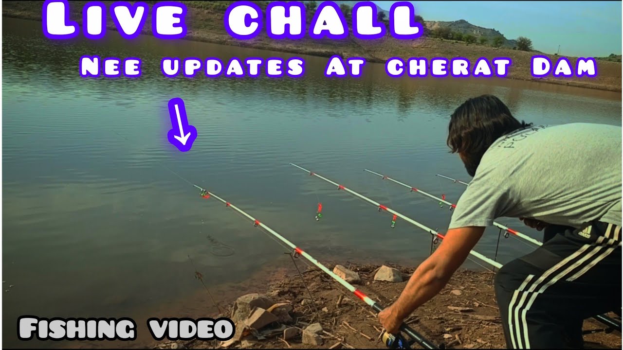 Fishing video nwe Shekar update ll silver carp fishing at Dag Ismail khil ll