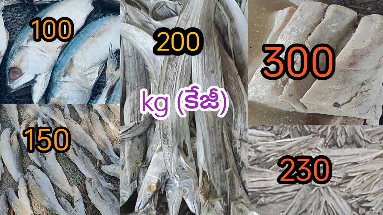 Dry fish business (ఎండు చేపలు) వ్యాపారం ఎలా చెయ్యాలి /how to earn money in dry fish business/ఓడరేవు