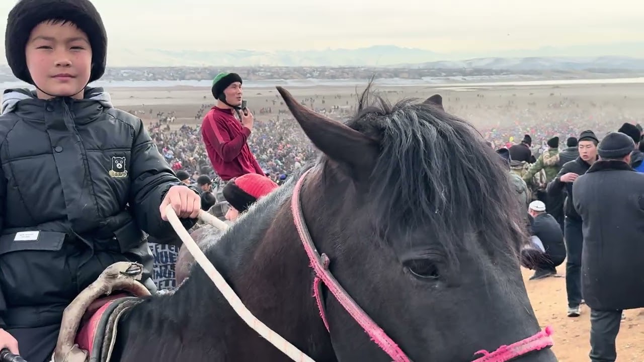 Manas Niyazov alaman ulak horses🐴