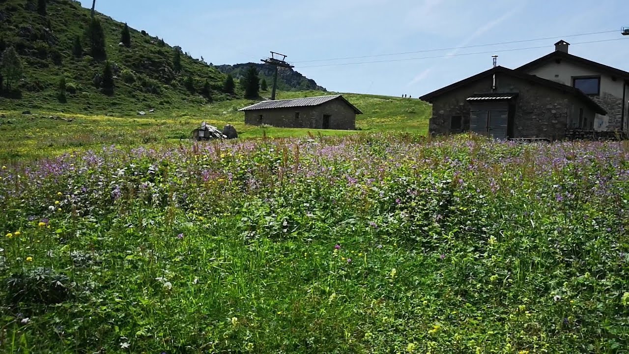Piani di Bobbio - Barzio (Lecco)