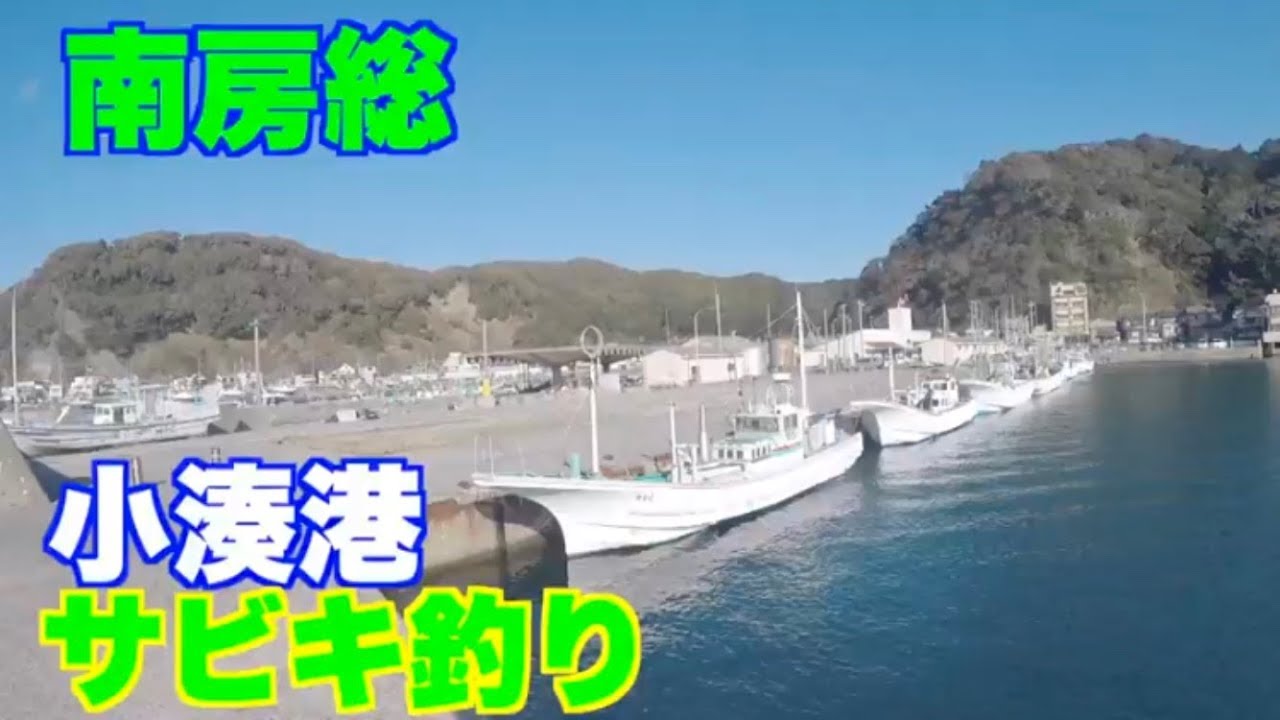 これだけ釣れれば入れ食いといっても過言ではないです！！