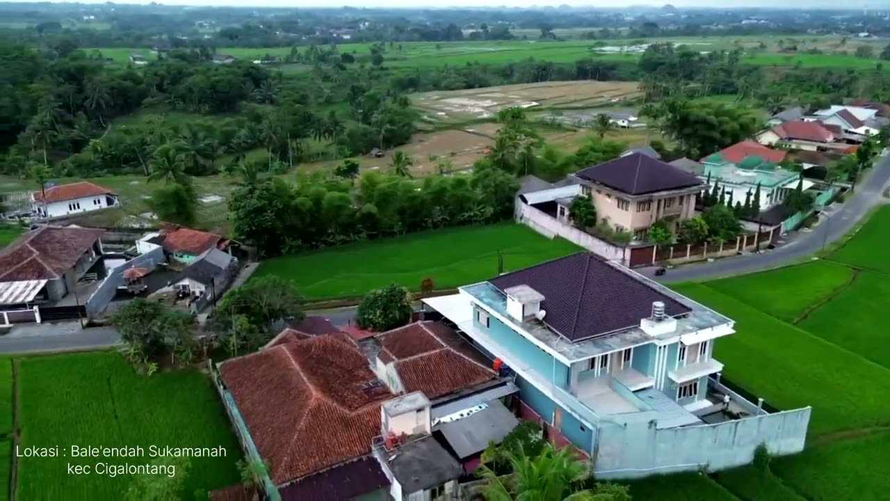 Rumah Mewah di Atas Sawah