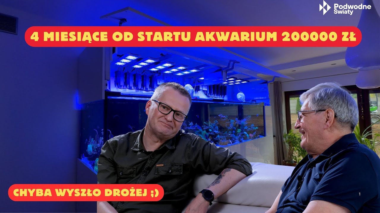 4 miesiące startu od startu akwarium za  200000 zł