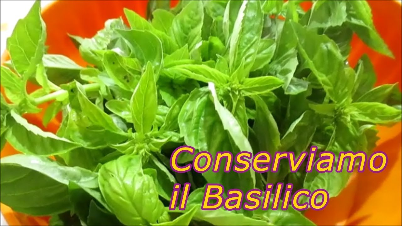 CONSERVARE IL BASILICO - per averlo sempre a disposizione
