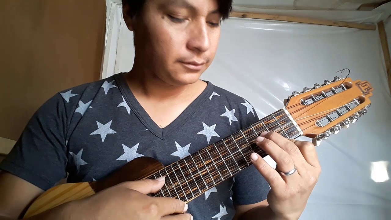 Despierta --- Cover Charango (Fernando Torrico)