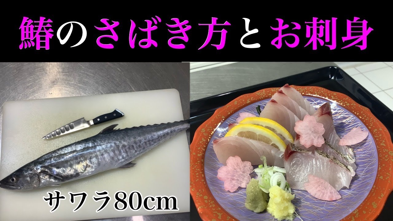 ゆっくり解説！鰆のさばき方と刺身の切り方、盛り付け方（焼霜作り、平作り）グレステンを使います