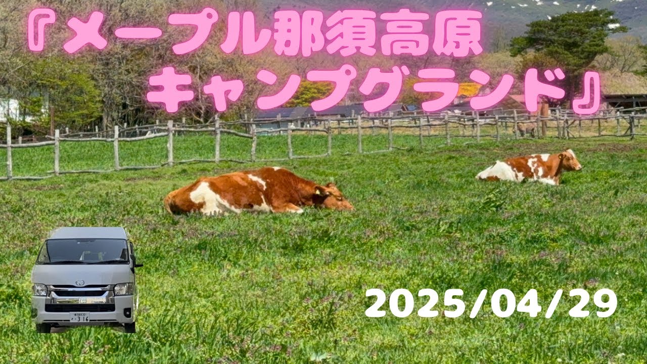 【メープル那須高原キャンプグランド】#２栃木の旅