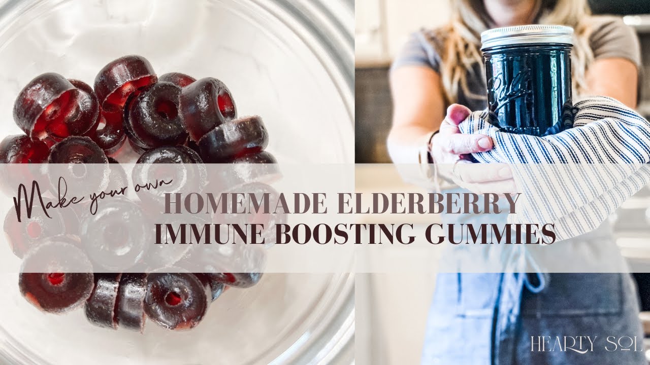 Make your own Homemade Elderberry Gummies | Delicious and Nutritious