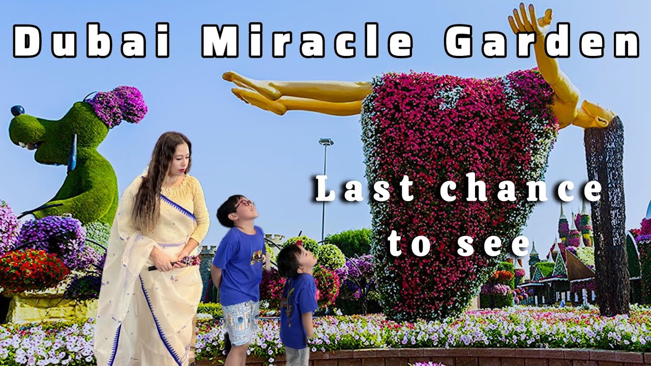 Adomgi apambdo leijare Dubai Miracle Garden Season 2025 Walking Tour World’s Largest Flower Garden