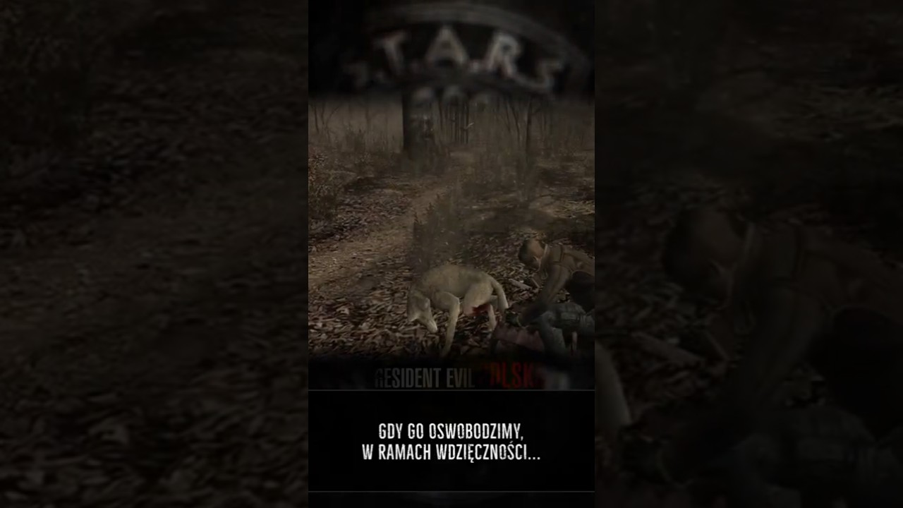 HEWIE W RESIDENT EVIL 4? #easteregg