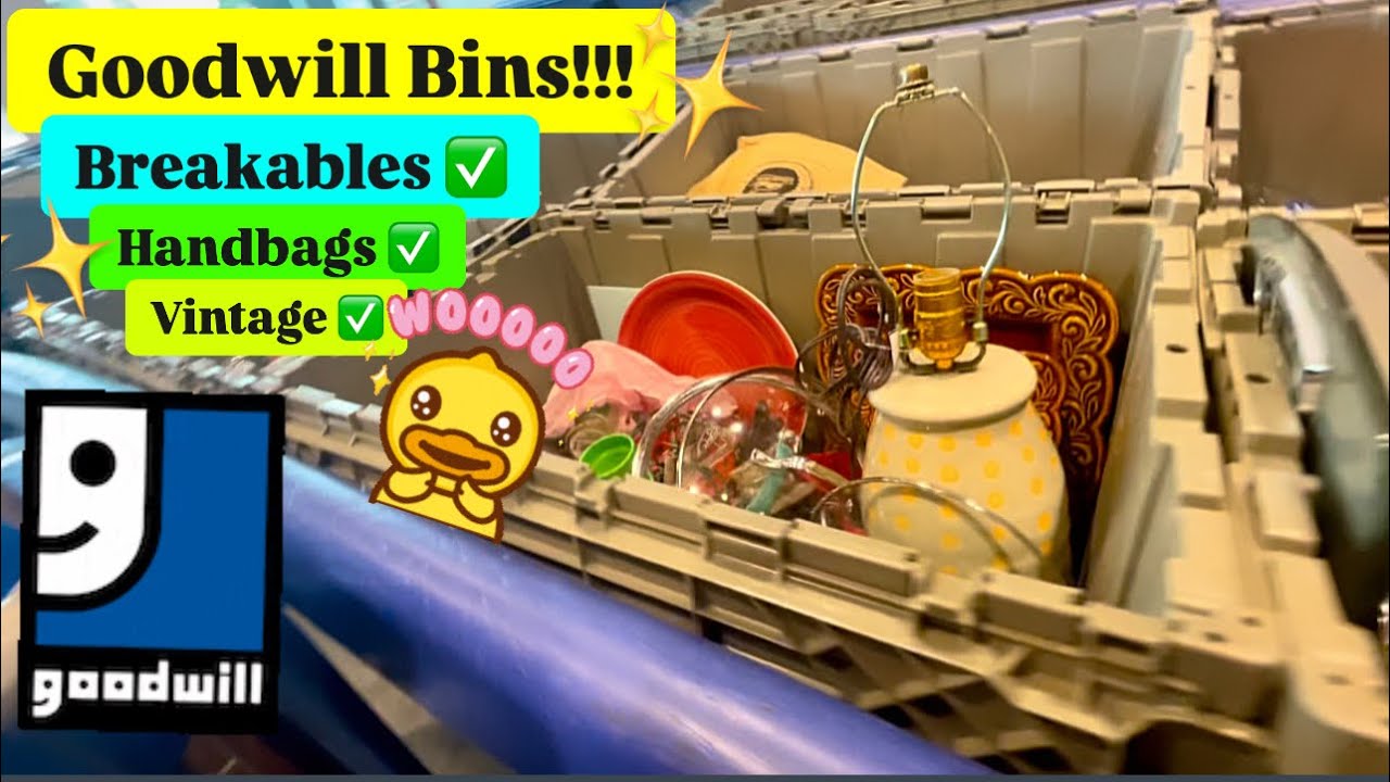 Let’s Go To GOODWILL Bins! $0.80/Pound For Breakables! +ITEMS Worth $100++! HAUL!!