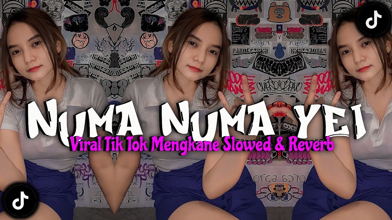 DJ NUMA NUMA YEI MENGKANE VIRAL TIK TOK SLOWED & REVERB