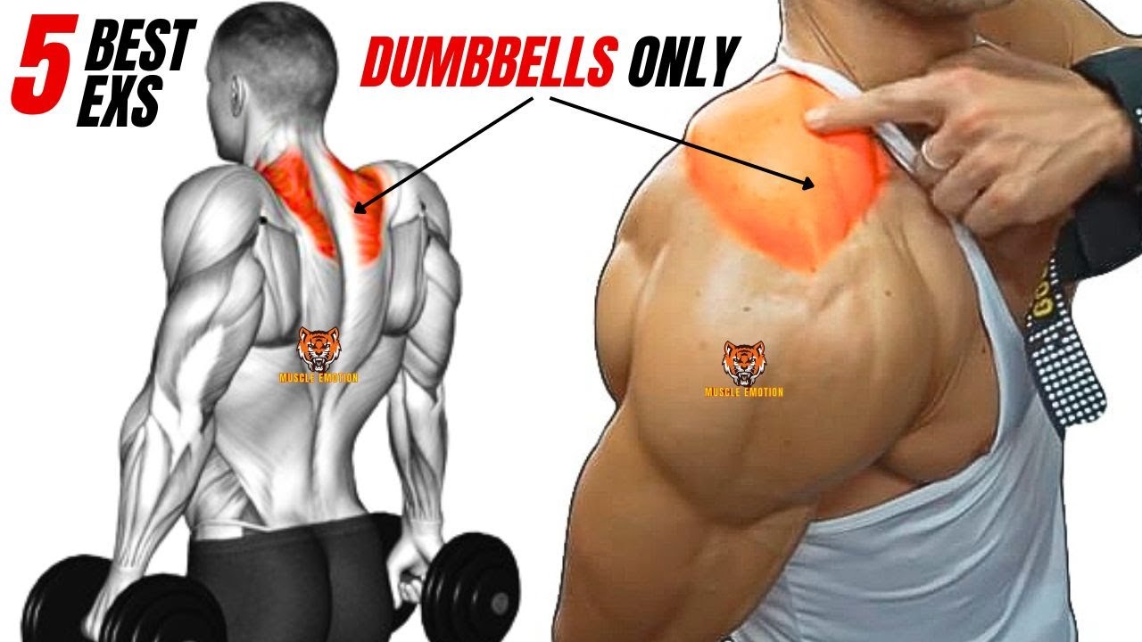 5 best traps exercises WITH DUMBBELLS ONLY  at gym / HUGE TRAPS WORKOUT