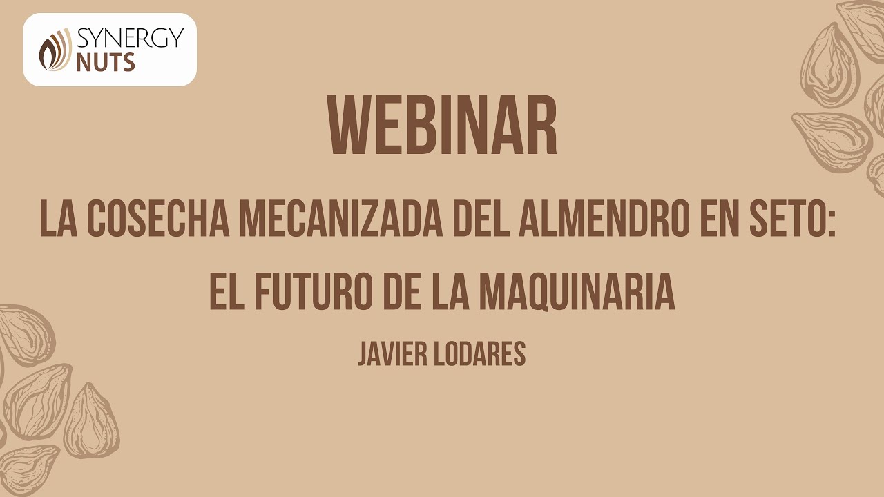 "La cosecha mecanizada del almendro en seto: el futuro de la maquinaria"