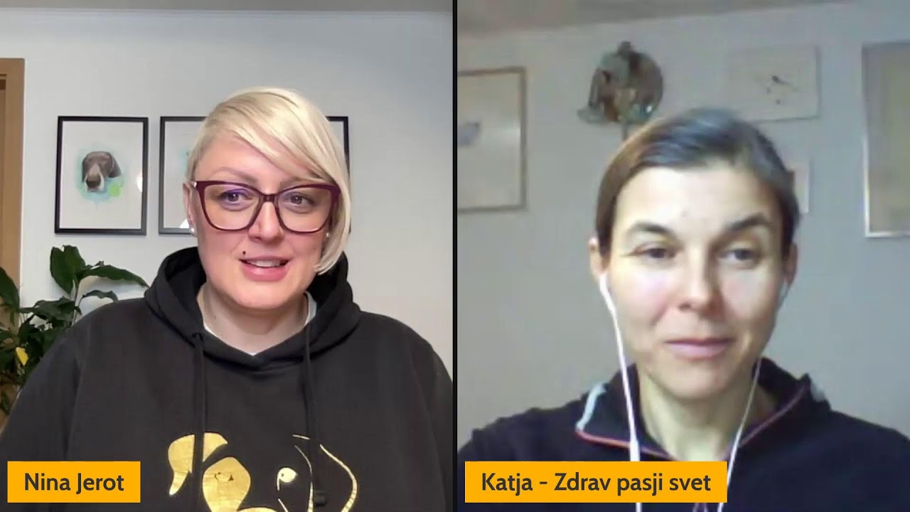 Skrivnosti pasje prehrane