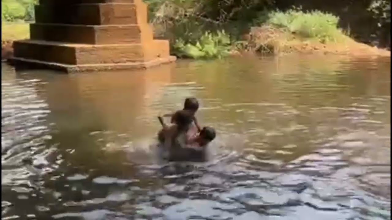 നമുക്കൊന്ന് കുളിച്ചാലോ.😍