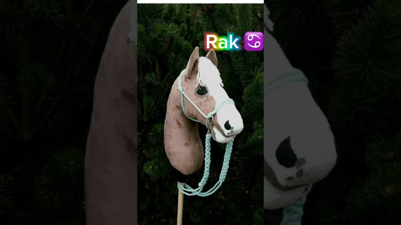 Jakie jeszcze? 😉 Part 1. #hobbyhorse #nocringe #znakzodiaku #nowaseria