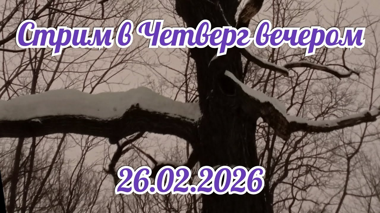 Музыкальный стрим  в Четверг вечером 26.02.2026