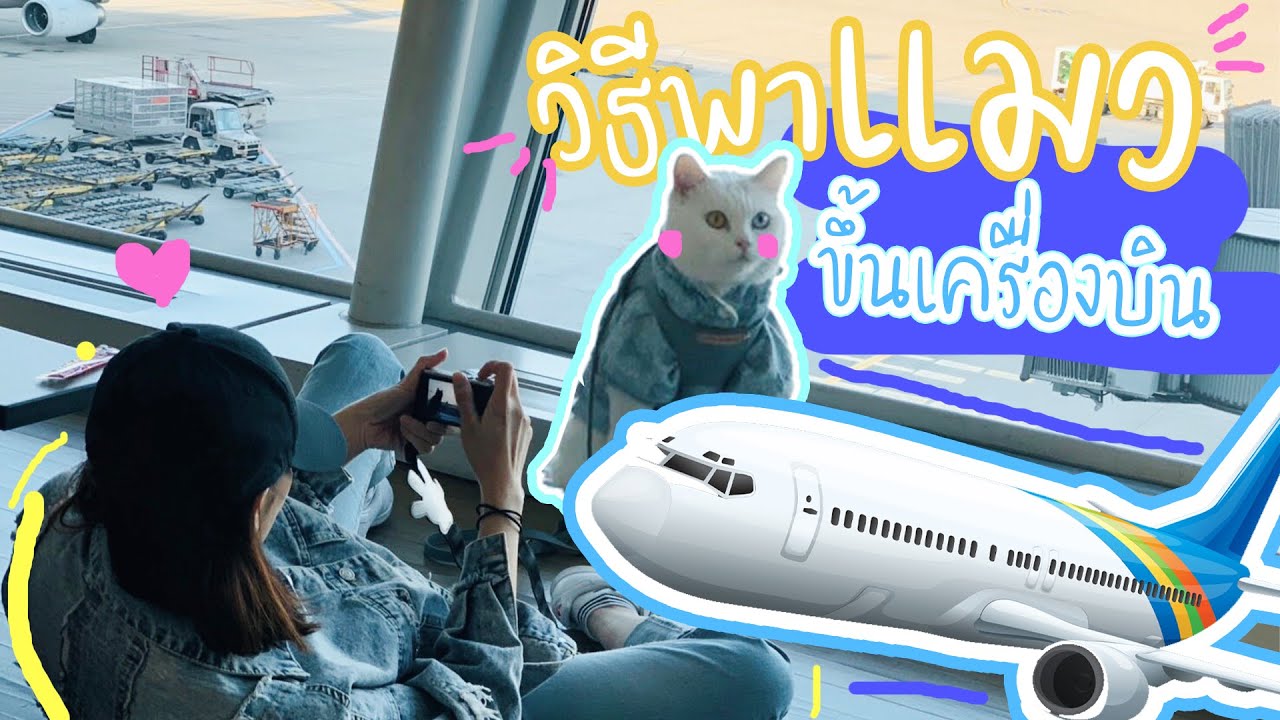 😺ขั้นตอนพาคุณมณีขึ้นเครื่องบิน I เที่ยวรอบโลก...✈️🌎 | แบกแมวเที่ยว