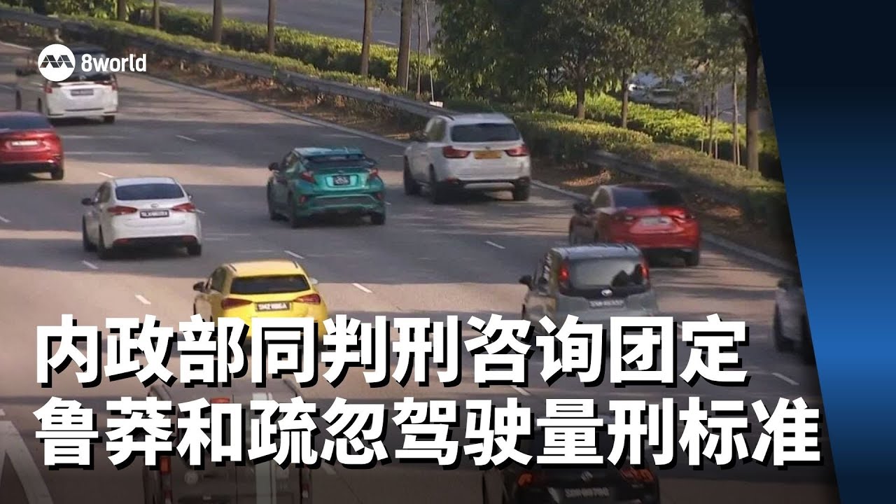 内政部正同判刑咨询团合作 制定鲁莽和疏忽驾驶罪量刑标准
