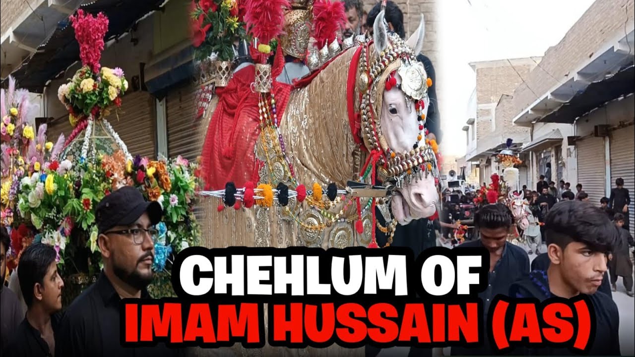 Chehlum of imam hussain /  Shahdadpur ka juloos 