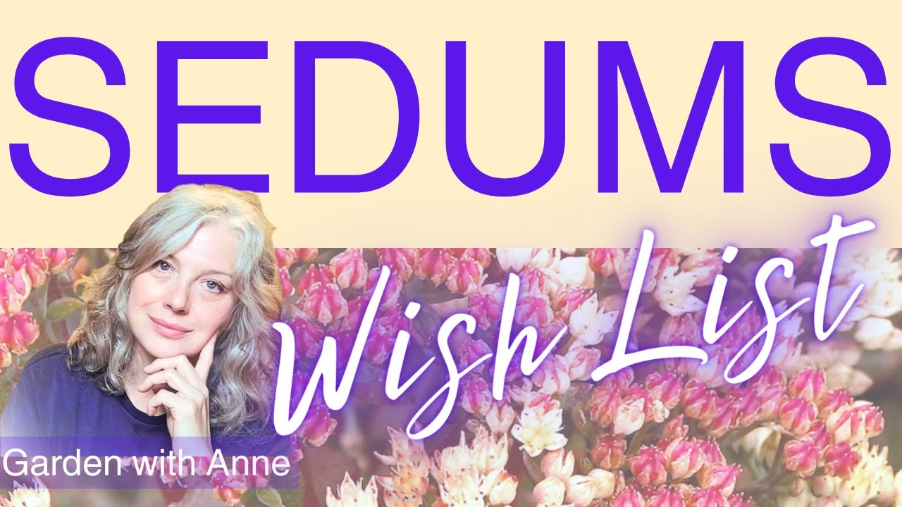 Sedums Demystified! (Plus My 2026 Wishlist)