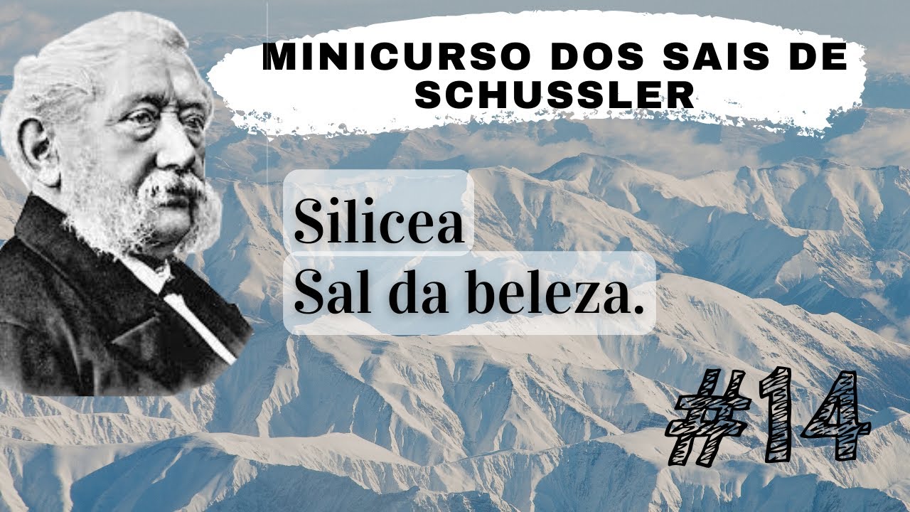 Para que serve Silicea