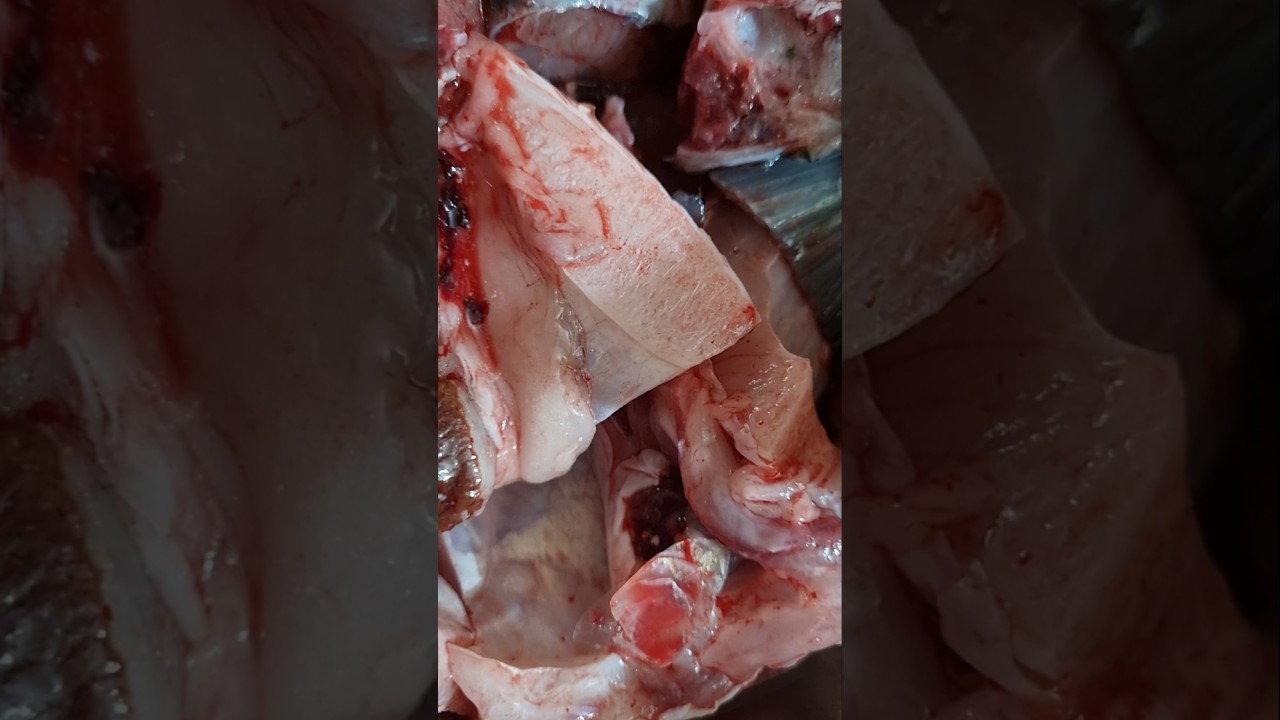 Fish Piece Cut Hone Ke Baad Bhi Zinda 😲 | Shocking Fish Reaction 