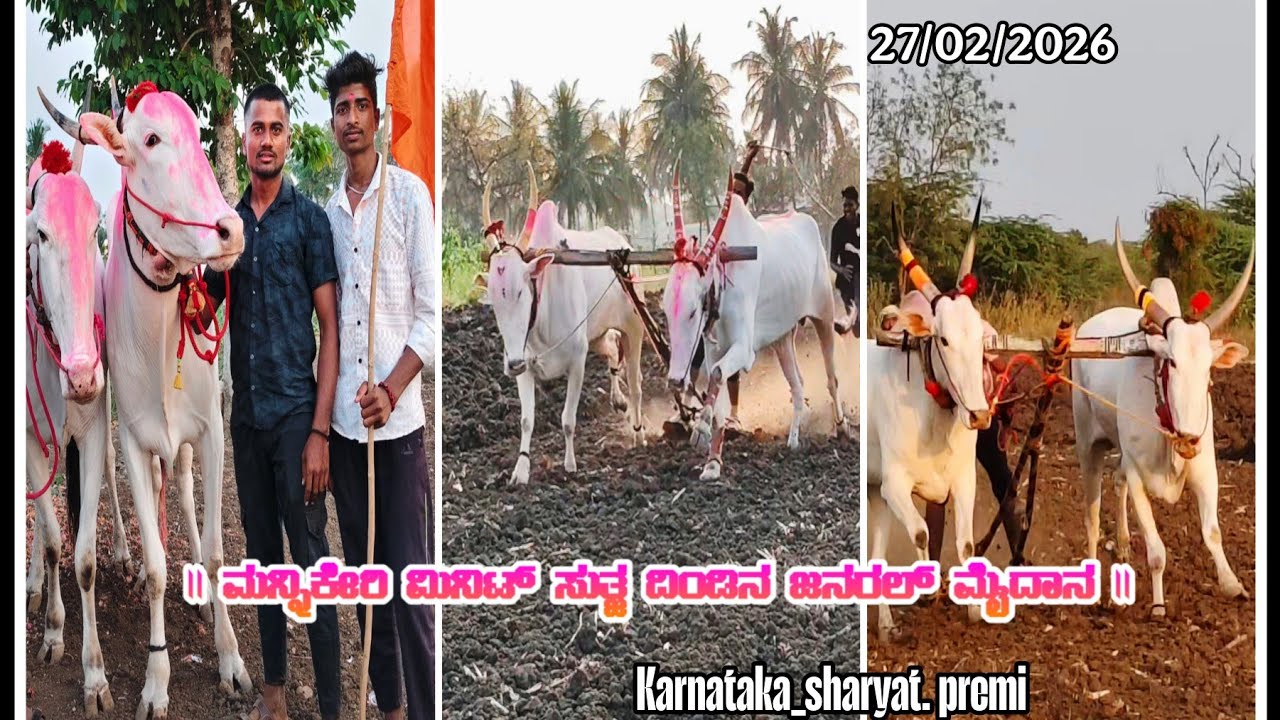 🚩ಮನ್ನಿಕೇರಿ ಮಿನಿಟ್ ಸುತ್ ದಿಂಡಿನ  ಮೈದಾನ🚩27/2/2026💥ಪ್ರಥಮ ಸ್ಥಾನ:-ಬಾಳು ದಾದಾ ಹಜಾರೆ  ಹರನ್ಯಾ & ಮಸೂತಿ ಸೂರ್ಯ🚩