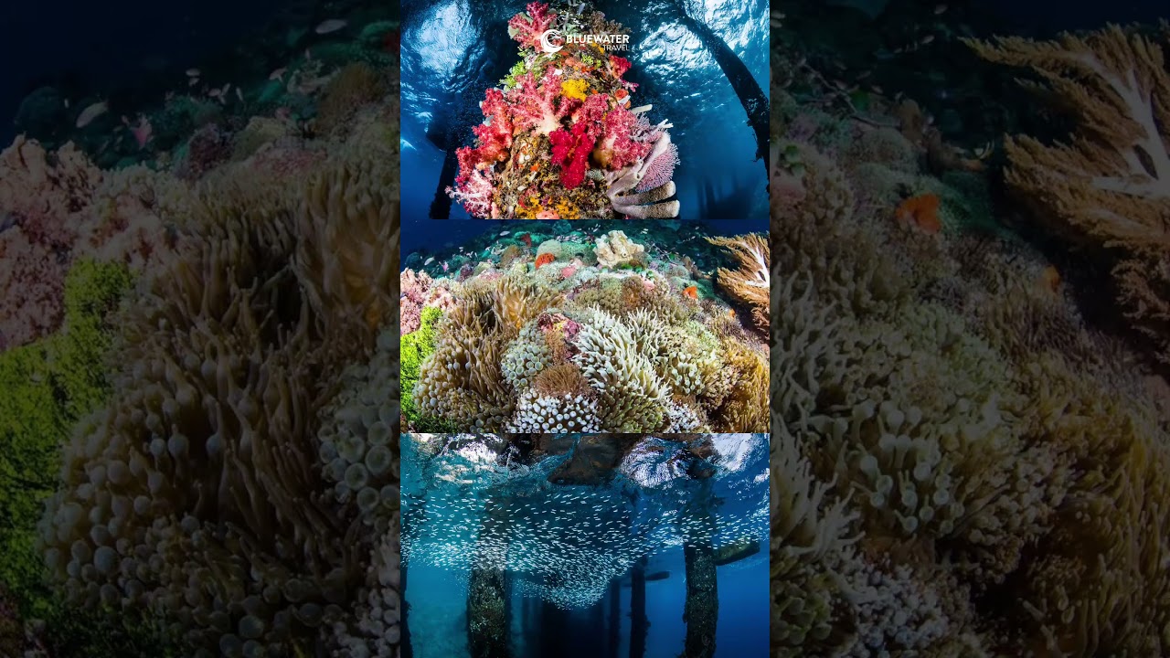 🇮🇩 Could this be Indonesia’s best kept secret?