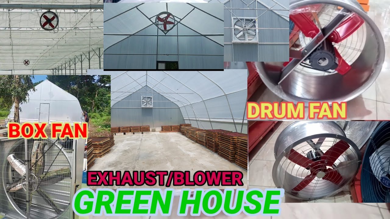 EXHAUST GREEN HOUSE  DRUM FAN & BOX FAN (AXIAL LOW NOISE) PEMILIHAN EXHAUST GREEN HOUSE CKE