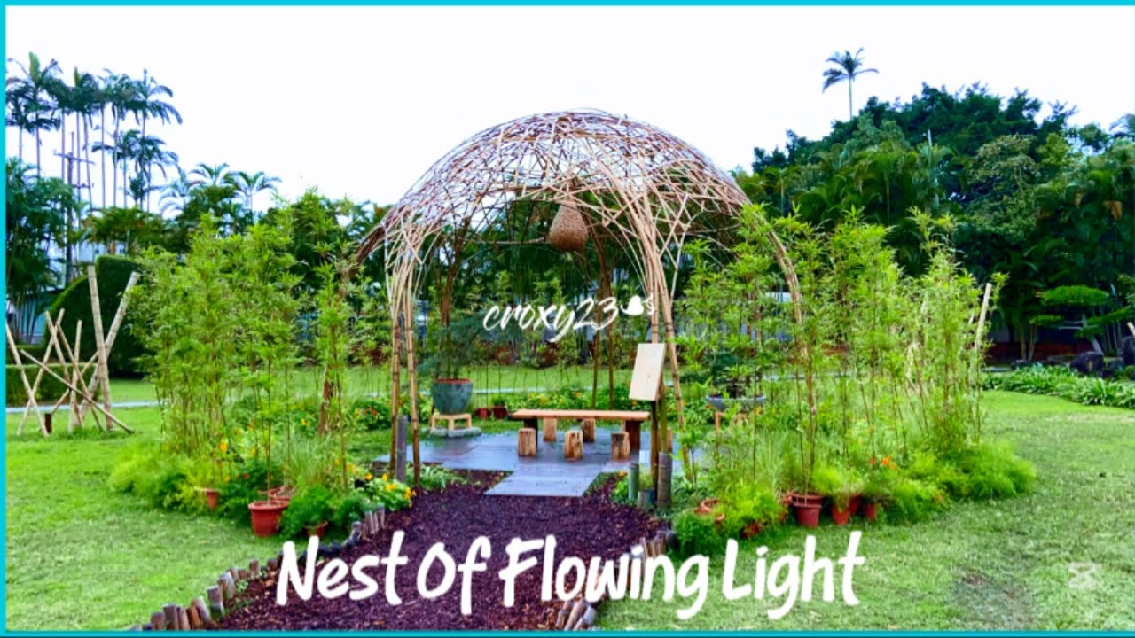 NEST OF FLOWING LIGHT