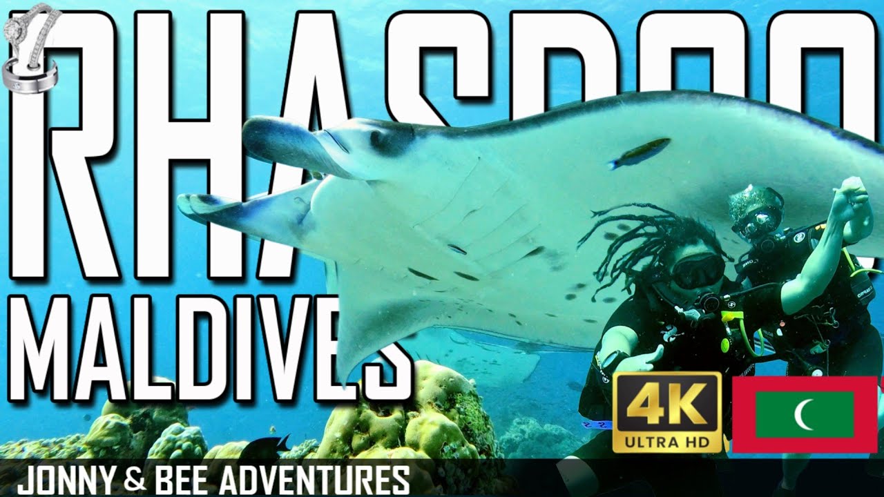 RHASDOO |  Manta Rays  Heaven 🇲🇻