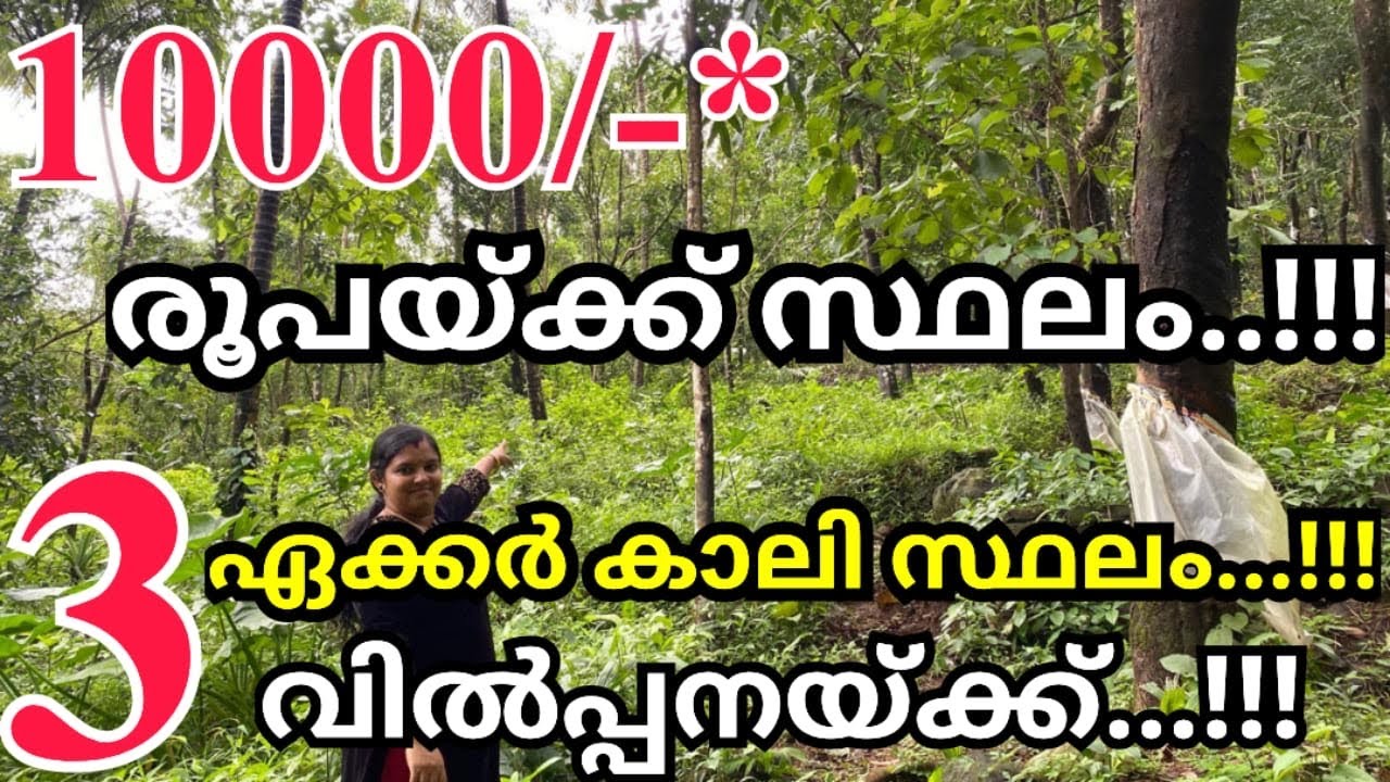 753: 3 ഏക്കർ സ്ഥലം വിൽപ്പനയ്ക്ക്! വെറും 30 ലക്ഷം രൂപയ്ക്ക്! 📣