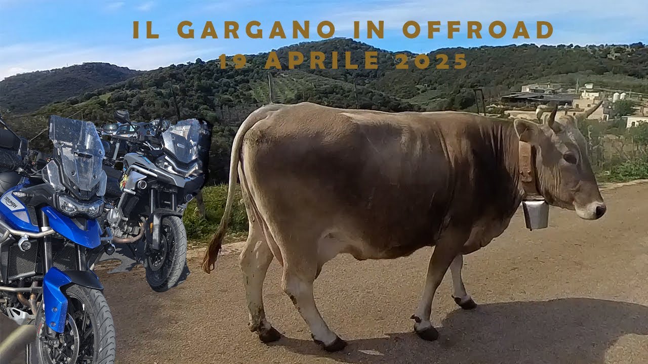 Episodio 44. Il Gargano in offroad come non lo avete mai visto! Possibile con una Tiger 900 gt pro?