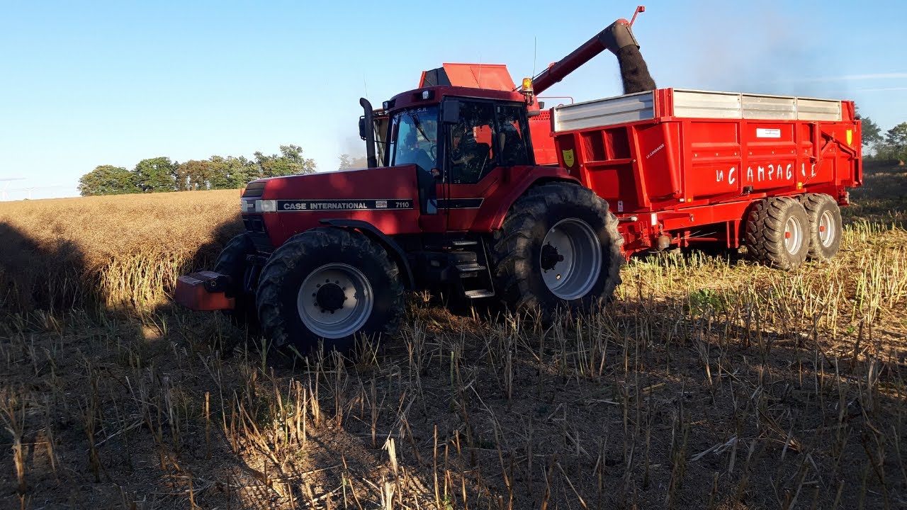Moisson De Colza 2020 | Case IH 2388 Axial-Flow | Magnum 7240 | Magnum 7110 | LaCampagne