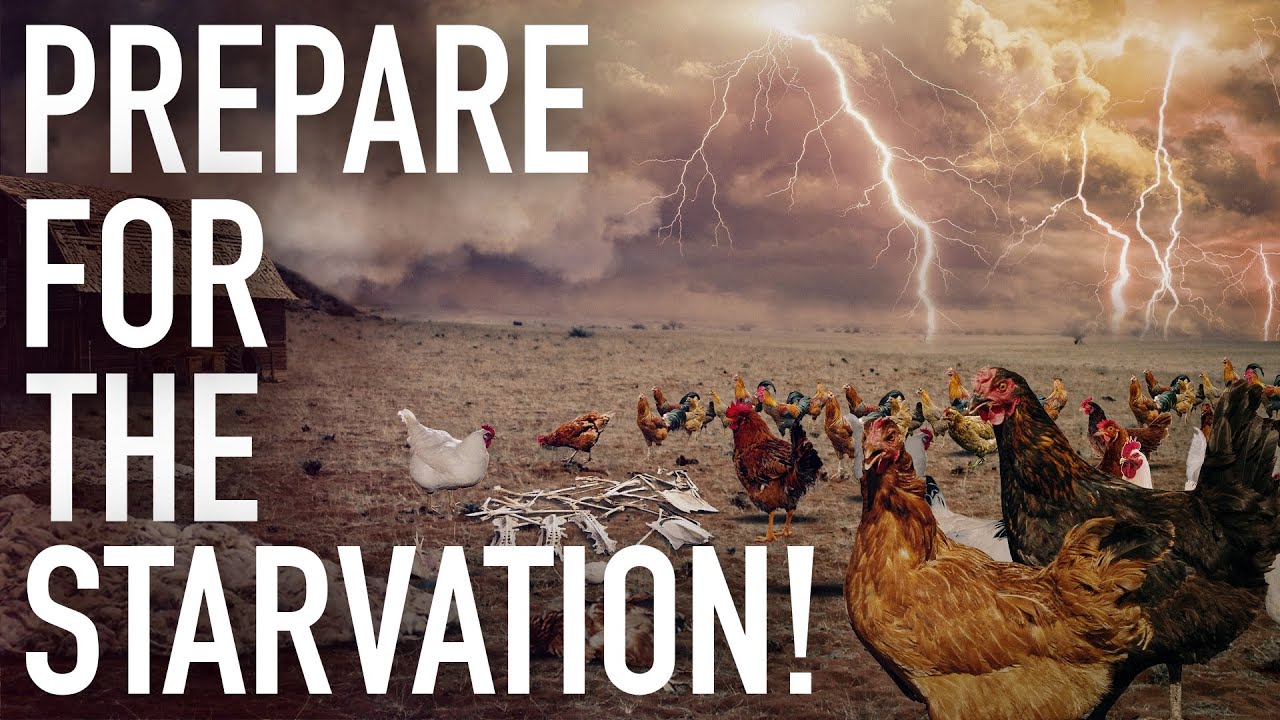 Food And Meat Shortage 2022! Global Starvation Plan Accelerates